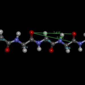BLAST Algorithm for Beginners